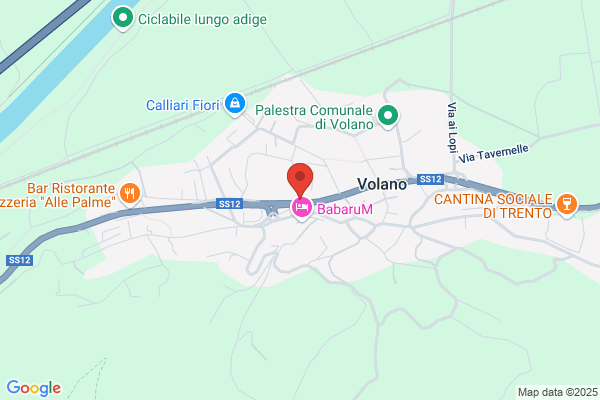 Officina Autorizzata Fiat - Officina Consolati