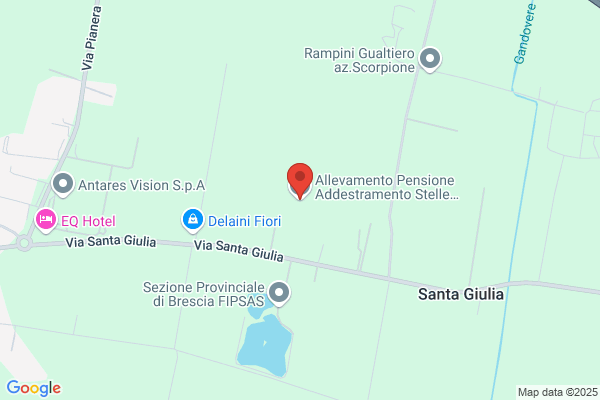 Allevamento Pensione Stelle di Sirio