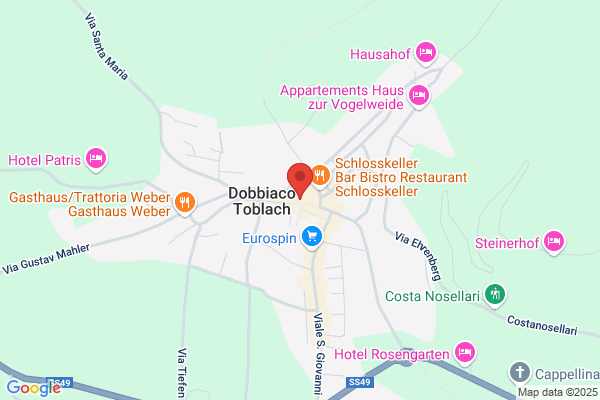 Azienda Elettrica Dobbiaco Elektrizitätswerk Toblach