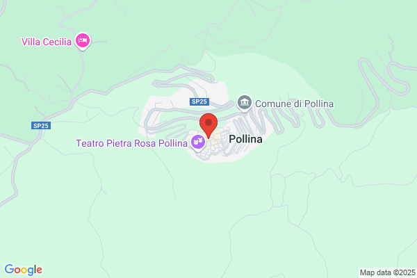 Antonio Pollina