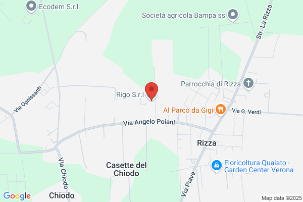 Rigo paolo