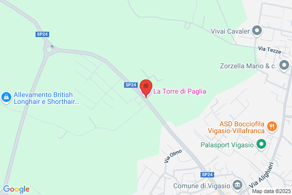 La Paglia Ferdinando (Dr.)
