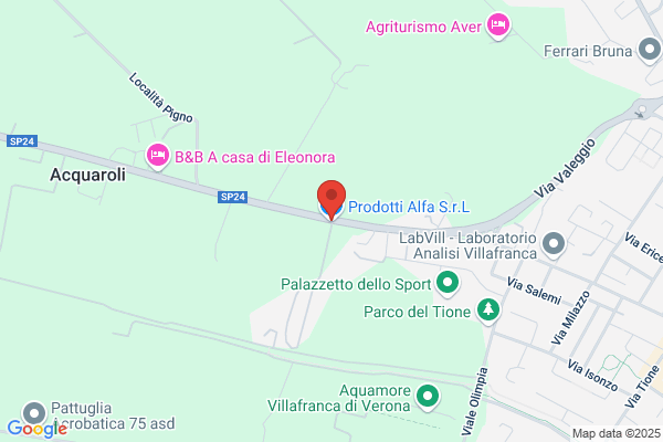 Prodotti Alfa S.P.A.