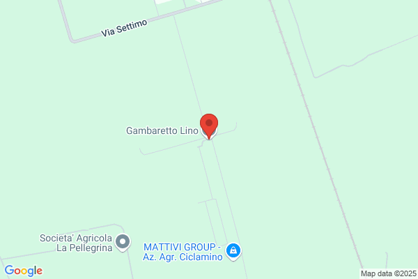 Gambaretto  Lino