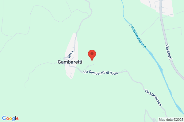 Gambaretto  Silvio