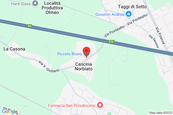 Piccoli bruno