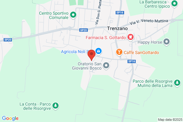 Tonoli giuliano (Geom.)