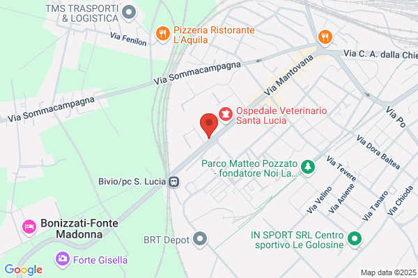 Bianconi Tappeti Orientali