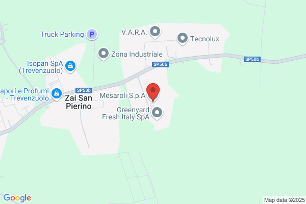 Mesaroli sabrina