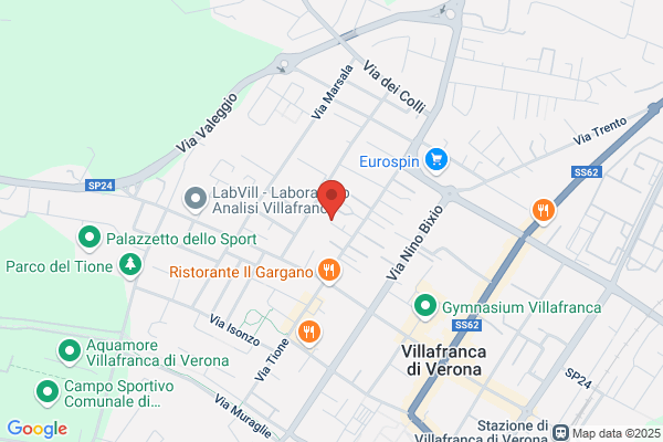 Pizzini antonietta