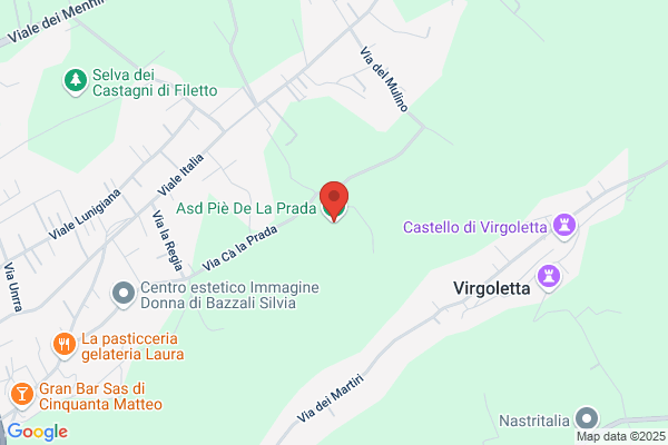Partito Comunista Italiano