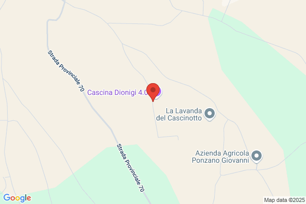 Meda marcello (Dr.)