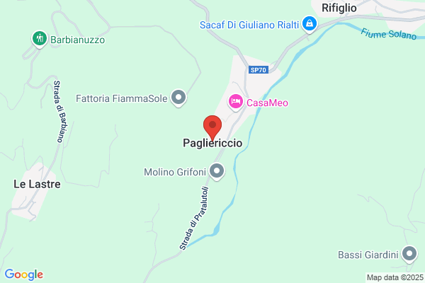 Grifoni Massimo