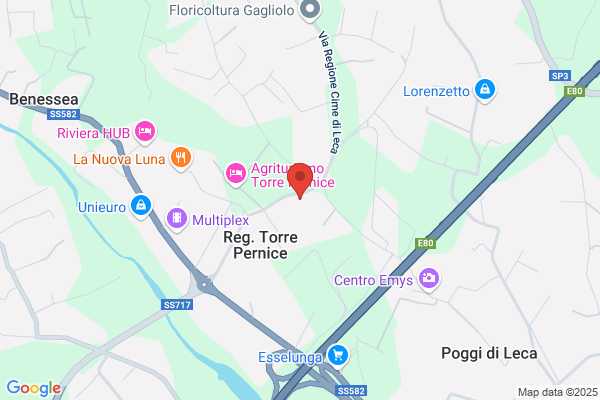 Losno francesco