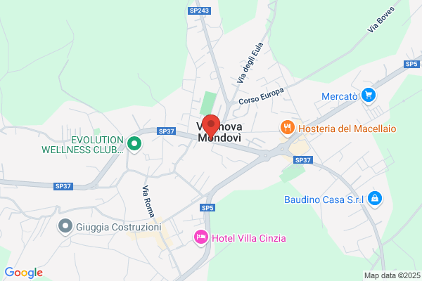 Boasso michele