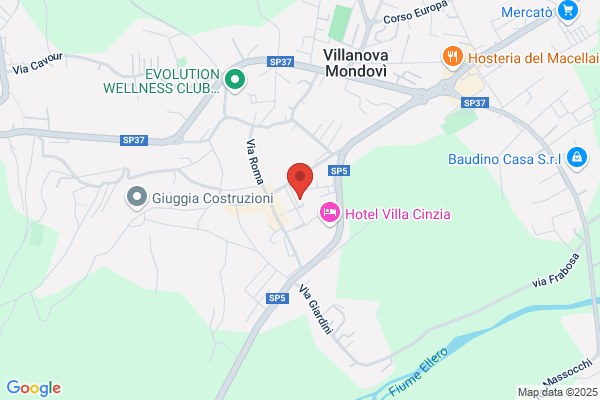 Castelli Dr. Rinaldo