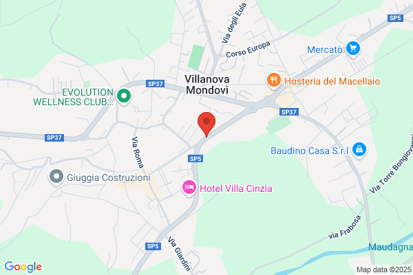 Fenoglio Ezio (Geom.)