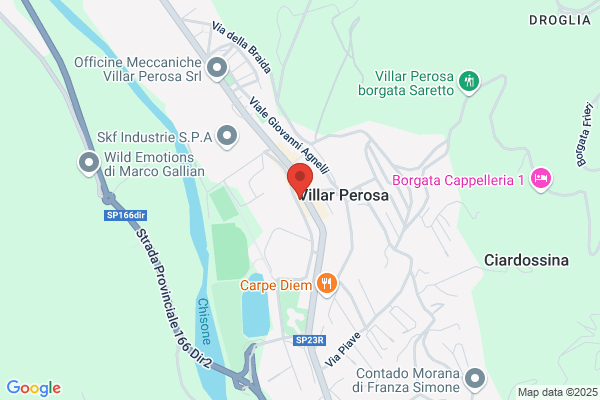 Saluzzo gimmi (Geom.)