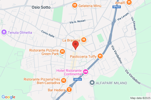 Immobiliare Osio S.R.L.