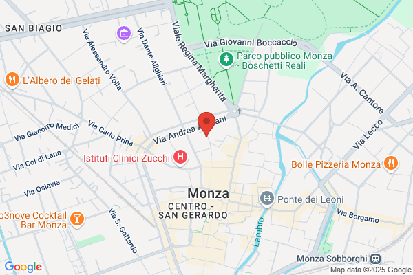 Mosca roberto