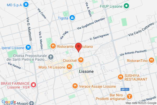 BLINDOSERR ASSISTENZA CASSEFORTI 24H