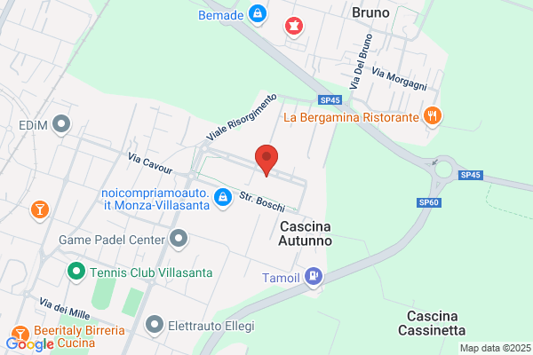 Goa Di Raimo Elsa