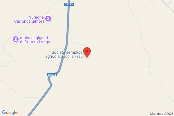 Secci marcello