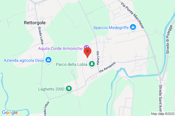 La Microfusione