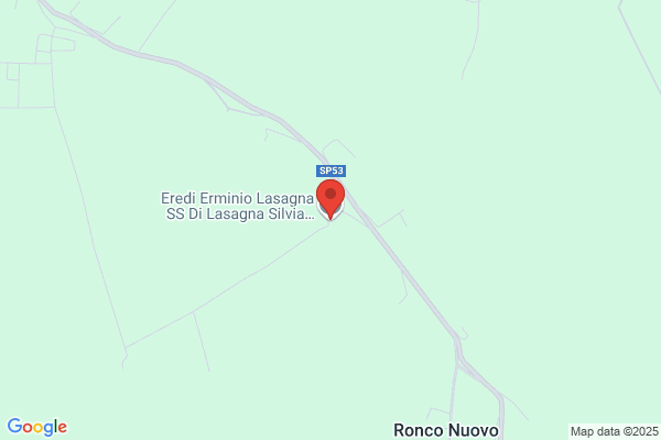 Lasagna Romano Eredi (S.A.S.)