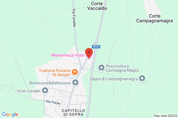 Montemezzi massimo