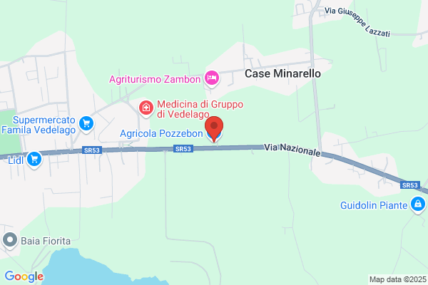 Agricola Pozzebon