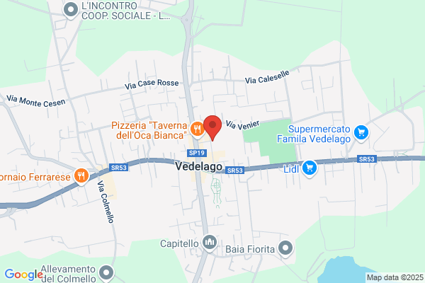 Pluridata Vedelago
