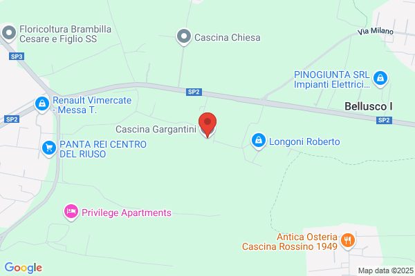 Gargantini Gianmario