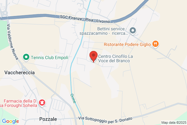 Gruppo Cinofilo Empolese G. Ammannati