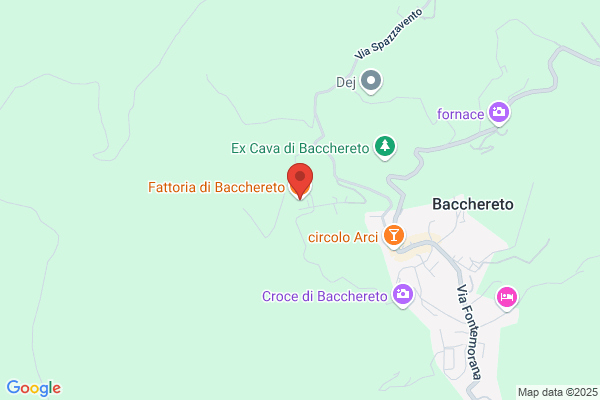 Fattoria Di Bacchereto