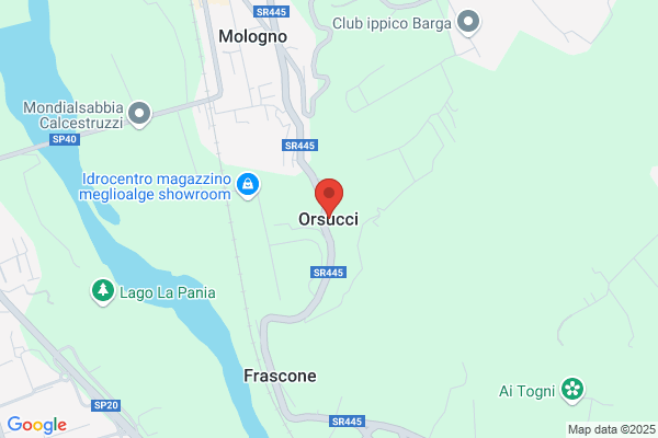Orsucci morena