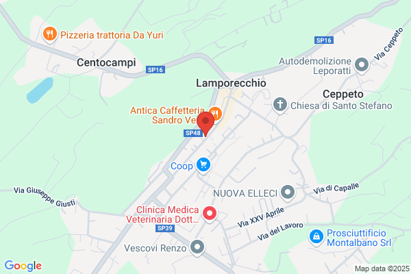 Linea Estetica Paola