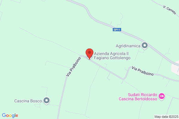 Il Fagiano Snc Di Perotti C. E Pilone k.