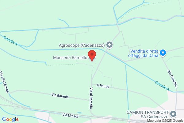 Ramello Boero orsolina