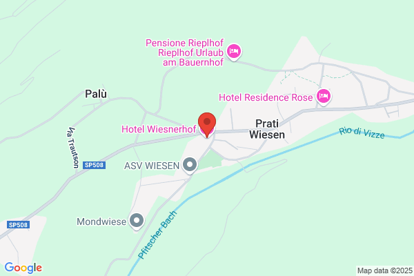 Hotel Wiesnerhof%hotel Wiesnerhof