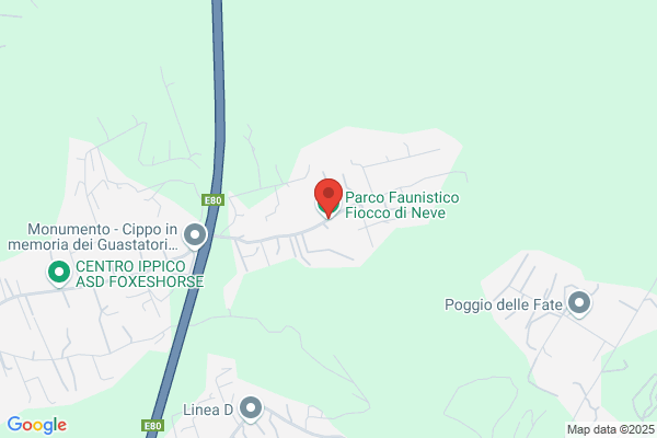 Il Fiocco Di Cicerone F.