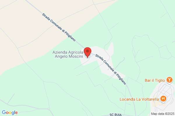 Moscini Andrea Srl