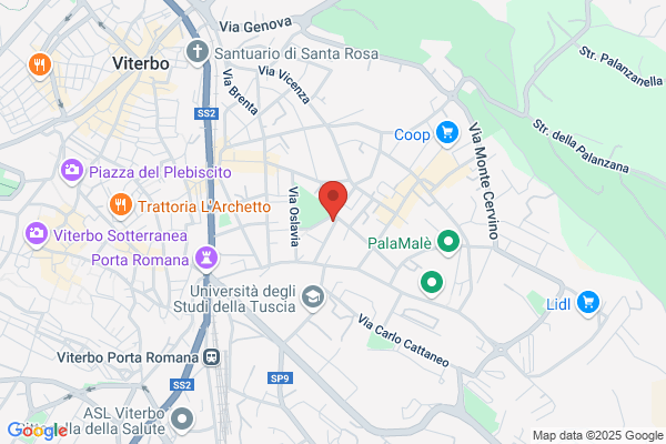 Max Ufficio Di Meschini Massimiliano & C. (S.A.S.)