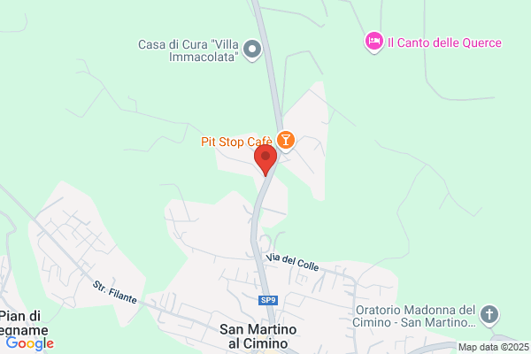 Vitale santo