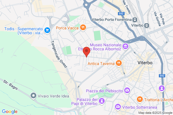 Trevi antonio