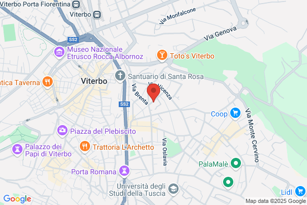 Geovit
