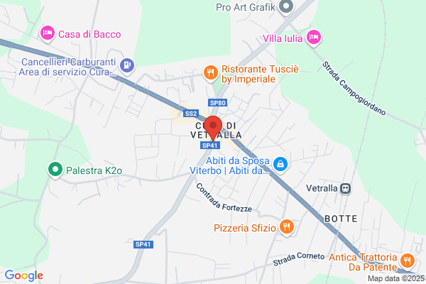 Fenice Srl