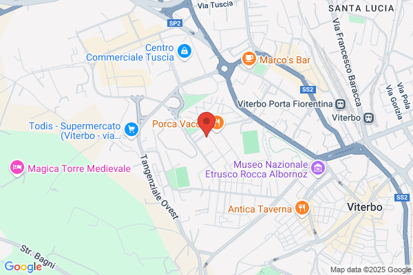 Copy Exspress Di Baccello Claudia