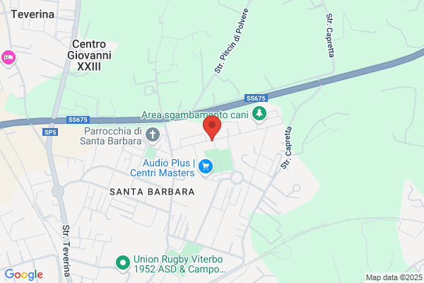 Scarcella franca (Dr.)