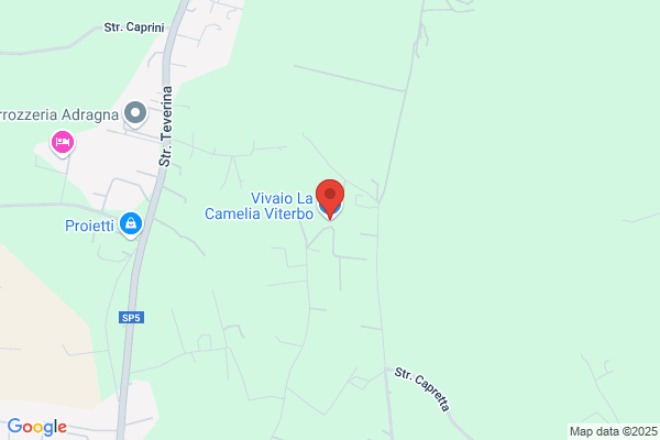 Vivaio La Camelia Viterbo